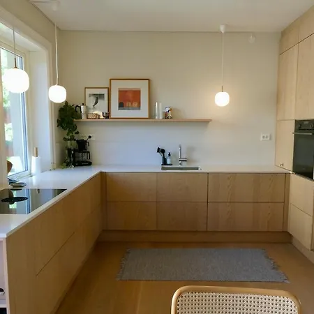 Large, Newly Renovated With A View Of The Park Oslo
