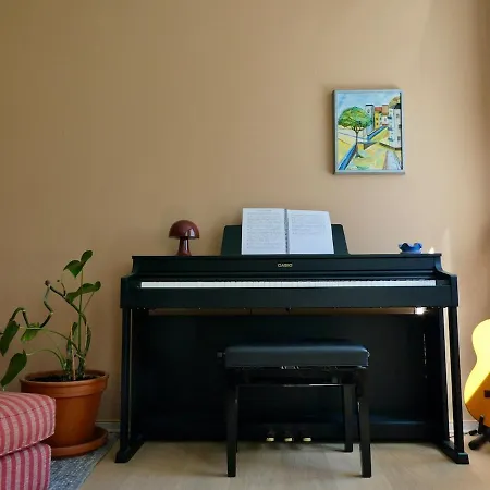 Large, Newly Renovated With A View Of The Park Apartment